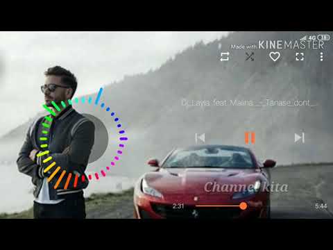 Dj layla feat malina