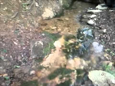 Vrella e Revuqit  2013