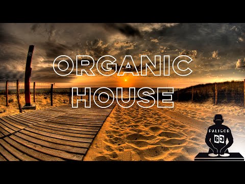 Dj PALIGOR   Weekly set 63 ORGANIC HOUSE  DJ Mix 🎧 Pioneer DDJ 400