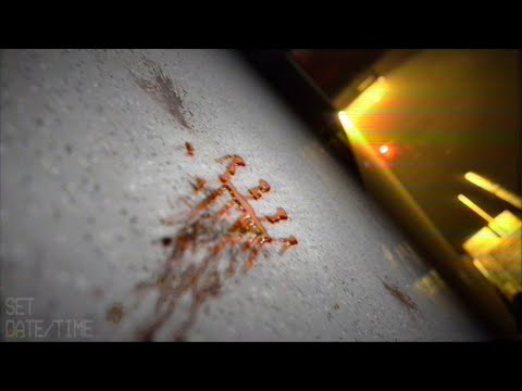 RESTRICTED_salvation