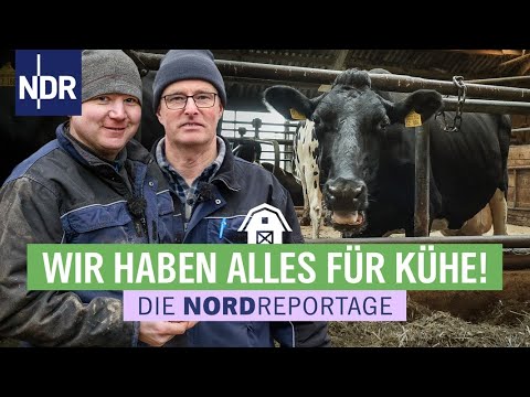 , title : 'Rollender Einkaufsladen für Vierbeiner | Die Nordreportage | NDR'