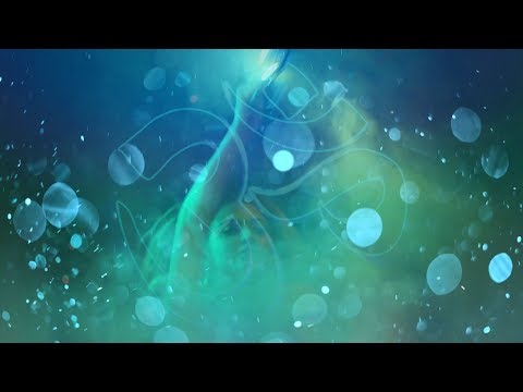 BIG CHARITY VERSUS 2: Marathon - OFFICIAL AFTERMOVIE