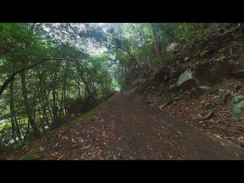 野放時施以負面制約，讓黑熊與人保持距離，平安返回山林-2