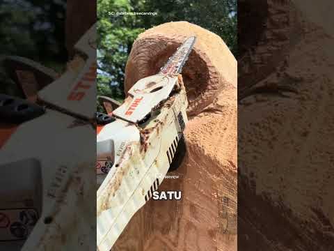 Pohon Mati 300 Juta Malah Disulap Jadi Ini 🦉😱