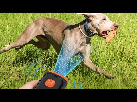 Dog Repeller || Watch how it Works ||