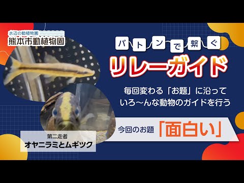 熊本市動植物園 おうちでテーマパーク 熊本市動植物園 おうちでテーマパーク
