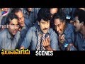 Chiranjeevi Best Scene Gharana Mogudu Movie Scenes Rao Gopal Rao Telugu FilmNagar