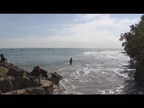 Search for swimmer called off, shark attack still unconfirmed