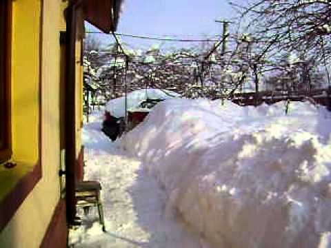 15 februarie 2012, la Cuza-Voda, Salcioara, Dambovita...prin curte