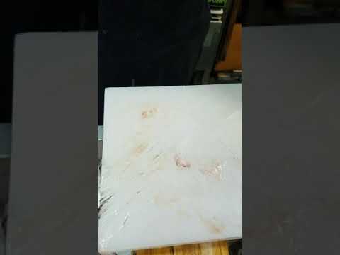 魚屋　シロサバフグ早剥き！
