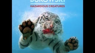 Bukowski - Fever (Total Song Guitar Cover) by Stormblast