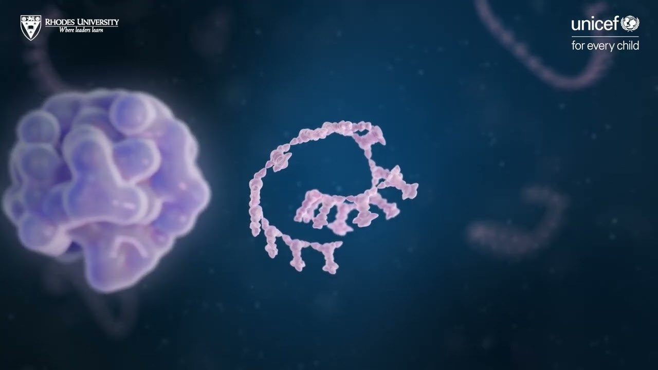 From Lab to Life: Developing a smarter pregnancy test for maternal health in low-resource settings