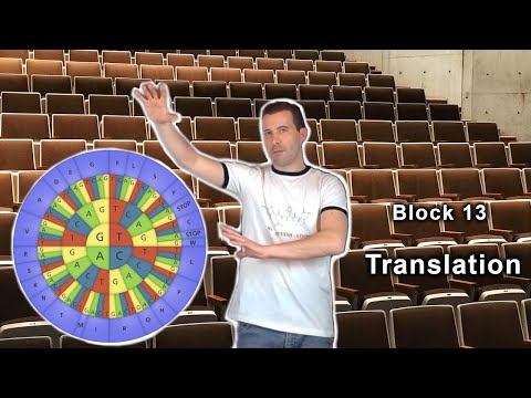 Grundvorlesung "Uni-Version" - Block 13: Translation