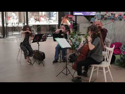 Flashmob cu Qvartetul Flow Strings la Shopping City Târgu Mureș