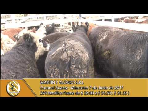 07-06-17 - Venta de Novillos para Faena - Martin y Alonso S.R.L. - C.Suarez