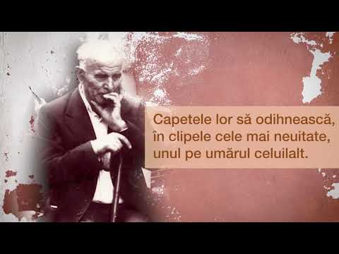 Frații noștri | TRAIAN DORZ