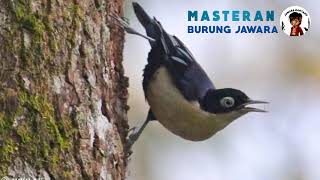 Download lagu MASTERAN MEWAH!!!RAMBATAN DORAEMON JERNIH PLUS TERAPI AIR mp3