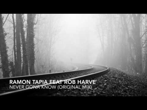 Ramon Tapia feat Rob Harve - Never gona know (original mix)