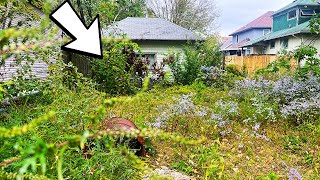 STUNNED this was BURIED in this Yard!