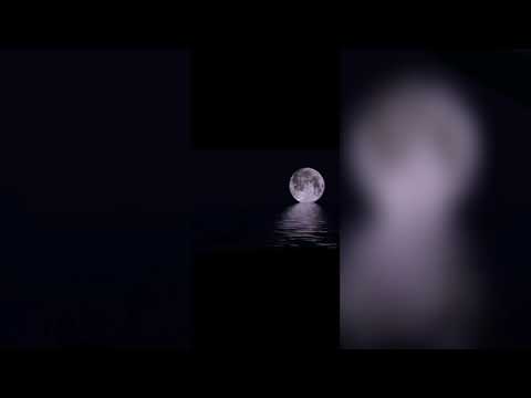 [BCD Studio CC] - Wave Song