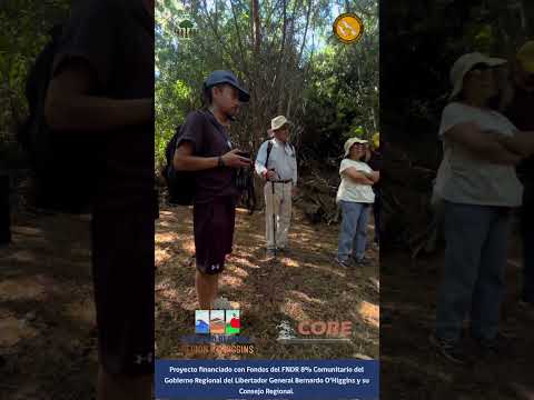 “Exploremos nuestro estero”, impulsado por el Grupo de Adulto Mayor Los Años Dorados en Las Garzas.