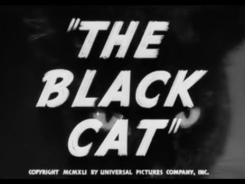 The Black Cat