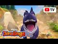 TV For Kids The Big Dinosaur Carnotaurus Scary Dinosaur Compilation Dinolings Official