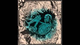 Pat The Bunny - Teenage Anarchist (2016)