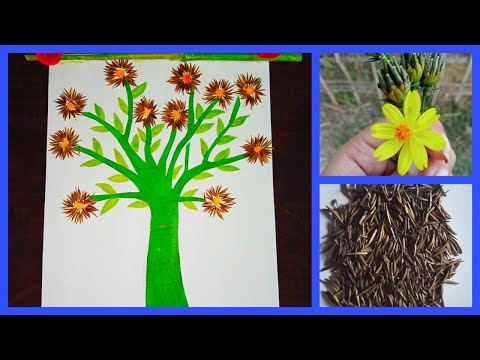 Craft ideas with flower seeds