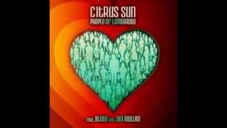 Citrus Sun - What Color Is Love