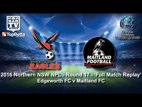2016 NNSWF NPL Round 17 Feature Match - Edgeworth Eagles v Maitland FC
