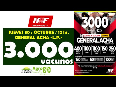 en VIVO - 12 hs. - REMATE de NÉSTOR HUGO FUENTES S.A. - JUE. 30 / OCT. / 2025 - GRAL. ACHA -L.P.-