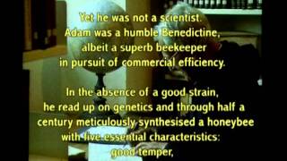 The Monk and the Honeybee (Brother Adam and the Buckfast Superbee)