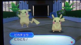 ピカチュウの結婚式がかわいすぎる！【ウルトラサンムーン】
