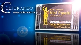 preview picture of video 'Mostra Vini e Passiti a Volta Mantovana Servizio TG'