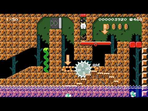 River Raft Scramble (Super Mario Maker 2)