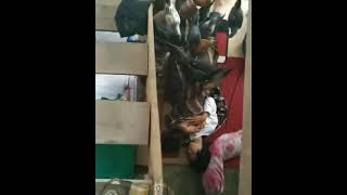 Download lagu wes angel angel || angel temen tuturanmu, teman jahil. mp3 Download lagu wes angel angel || angel temen tuturanmu, teman jahil. mp3