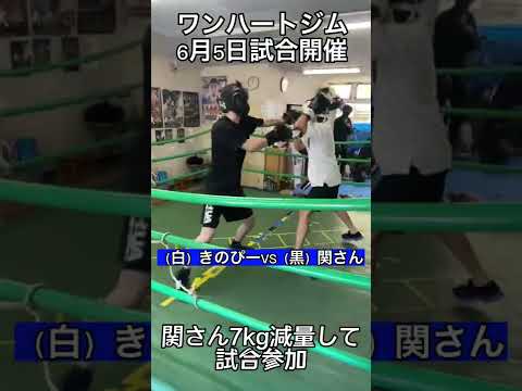 バトルワンハート！関さん7kg減量し仕上がる！#shorts #ボクシング #格闘技 #トレーニング #日常 #筋トレ