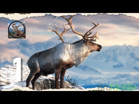 Hunting Battle: Hunter Game Gameplay Walkthrough Part 1 (Android, IOS) - YouTube