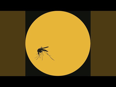 Vanavond (feat. Mgl Nader)