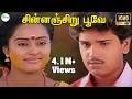 CHINNANCHIRU POOVE சின்னஞ்சிறு பூவே Love Song HD