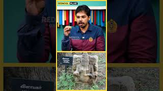 Download lagu புத்தர் சிலையை உடைச்சிட்டு  விநாயகர் தலையை வெச்சாங்க சொல்றது உண்மையா..? Paari Saalan | Vinayagar mp3