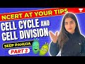 Cell Cycle And Cell Division Part 3 NCERT At Your Tips NEET Seep Pahuja