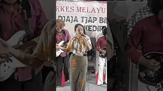 Download lagu Sinis cipt s achmadi salah satu lagu ida laila yang legendaris bersama om awara #dangdutjadul mp3 Download lagu Sinis cipt s achmadi salah satu lagu ida laila yang legendaris bersama om awara #dangdutjadul mp3