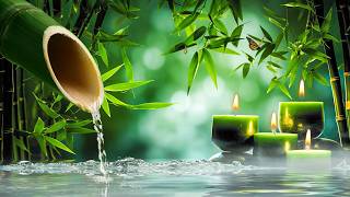 Peaceful Piano Music + Water Sounds 🌱 Zen Relaxation, Stress & Anxiety Relief