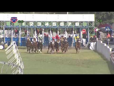 RM3 R6 - Nottingamshire(JP.vanderMerwe)