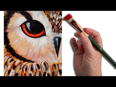 download lagu mp3 mp4 Owl Painting Ideas, download lagu Owl Painting Ideas gratis, unduh video klip Owl Painting Ideas