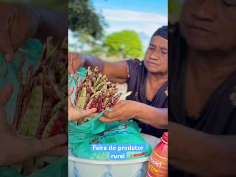 Feira do produtor na Vila Aparecida município de Goianésia do Pará