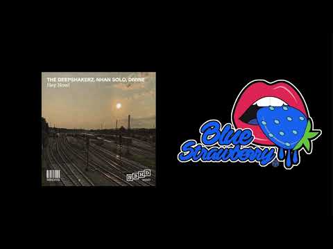 The Deepshakerz & Nhan Solo ft. DiVine (NL) - Hey Now! (Original Mix)