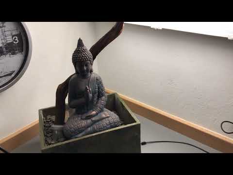 2022 Tanuki Experiment Lärche Teil 1